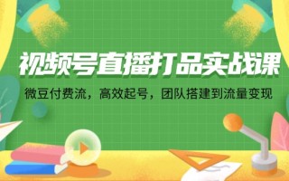 视频号直播打品实战课：微 豆 付 费 流，高效起号，团队搭建到流量变现