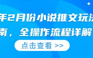 25年2月份小说推文玩法指南，全操作流程详解