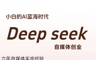 冰冰老师·普通人如何利用Deepseek创业