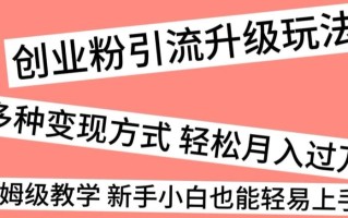 创业粉引流升级玩法，多种变现方式轻松月入过万，保姆级教学新手小白也能轻易上手！