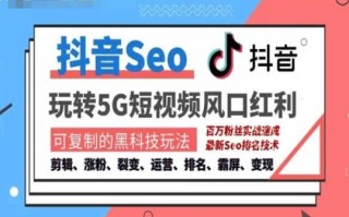 抖音SEO引流培训课程-抓住抖音风口，实现搜索排名，获取精准流量，快速成交变现