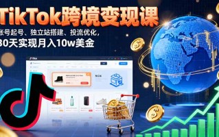 TikTok跨境变现课：账号起号、独立站搭建、投流优化，30天实现月入10w美金