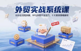 外贸实战系统课：B2B全流程拆解，RFQ深度开发技巧，十大案例策略解析