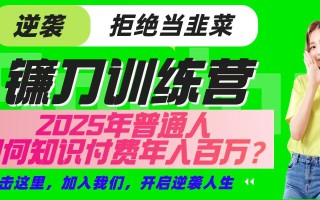 镰刀训练营超级IP合伙人，25年普通人如何通过“知识付费”实现逆袭