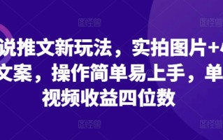 小说推文新玩法，实拍图片+小说文案，操作简单易上手，单条视频收益四位数