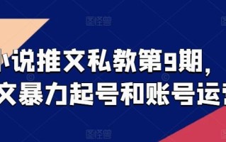 小说推文私教第9期，推文暴力起号和账号运营