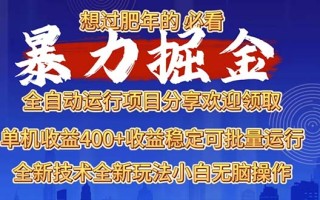 2025暴力掘金项目，想过肥年必看！