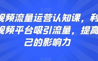 短视频流量运营认知课，利用短视频平台吸引流量，提高自己的影响力