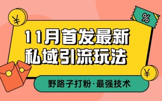11月首发最新私域引流玩法，自动克隆爆款一键改写截流自热一体化 日引300+精准粉