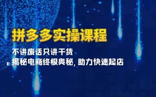 拼多多实操课程：不讲废话只讲干货, 揭秘电商终极奥秘,助力快速起店
