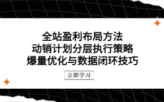 全站盈利布局方法：动销计划分层执行策略，爆量优化与数据闭环技巧