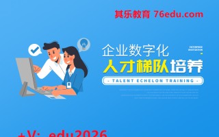 企业数字化人才梯队培养（6集） mp4高清无水印视频教程网盘免费下载