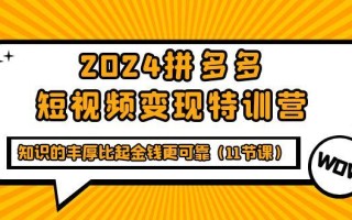 (9817期)2024拼多多短视频变现特训营，知识的丰厚比起金钱更可靠(11节课)