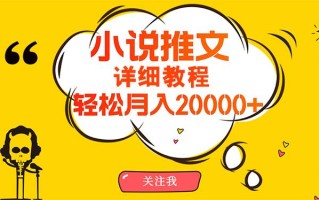 (10000期)简单操作，月入20000+，详细教程！小说推文项目赚钱秘籍！