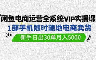 (9547期)闲鱼电商运营全系统VIP实战课，1部手机随时随地卖货，新手日出30单月入5000