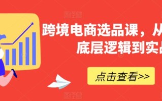 跨境电商选品课，从选品到底层逻辑到实战