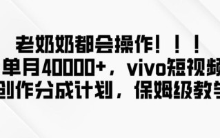 老奶奶都会操作，新平台无脑操作，单月40000+，vivo短视频创作分成计划【揭秘】