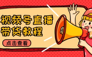 视频号直播带货教程：选品思路与话术拆解/掌握多种带货套路/提升直播效果