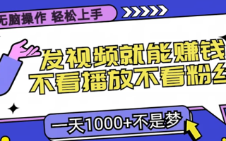 无脑操作，只要发视频就能赚钱？不看播放不看粉丝，小白轻松上手，一天…