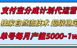 支付宝分成计划代运营，独家自然流技术，收益稳定，单号月产5000＋