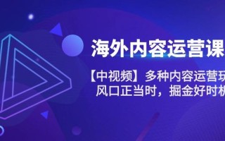 海外内容 运营课【中视频】多种内容运营玩法 风口正当时 掘金好时机-101节