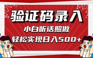信息录入，几秒一单，只需一部手机，小白轻松上手，日入500＋