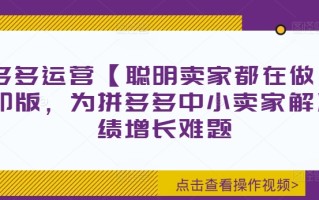 拼多多运营【聪明卖家都在做】无水印版，为拼多多中小卖家解决业绩增长难题