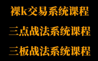 半山猎人三套系统课程(裸K体系、三点体系、三板体系)