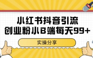 小红书抖音创业粉，小B端粉自热，日引99+的一个玩法【揭秘】