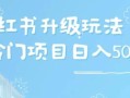 小红书升级玩法，冷门暴利项目无门槛操作，轻松日赚500+
