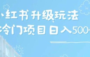 小红书升级玩法，冷门暴利项目无门槛操作，轻松日赚500+
