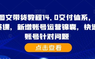 抖音图文带货教程14.0交付体系，基础与精英课，新增账号运营锦囊，快速解决账号针对问题