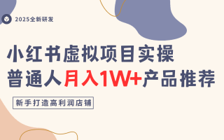 小红书虚拟项目实操指南，普通人月入1W+产品推荐，直接抄