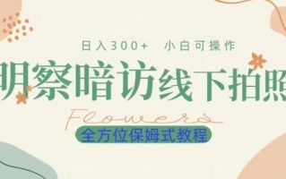 明拍暗拍项目0成本投入日入300+小白可操作保姆式全方位教程