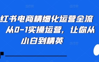 小红书电商精细化运营全流程，从0-1实操运营，让你从小白到精英