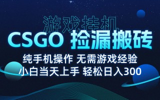 8月最新游戏搬砖，CSGO纯挂机，不需要玩游戏，实现真挂机，月入1W+