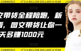 AI图文带货全程陪跑，新手必看，图文带货让你一天多赚1000元