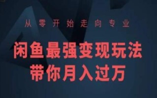 从零开始走向专业，闲鱼最强变现玩法带你月入过万