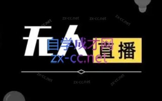 宝子哥·无人直播-非实时防风技术(更新8月)