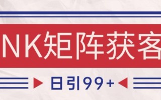 小红书某音NK赛道引流获客 自热矩阵日引200+【揭秘】