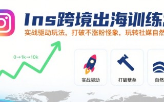 Ins跨境出海训练营，实战驱动玩法，打破不涨粉怪象，玩转社媒自然流量