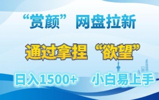 “赏颜”网盘拉新赛道，通过拿捏“欲望”日入1500+，小白易上手【揭秘】
