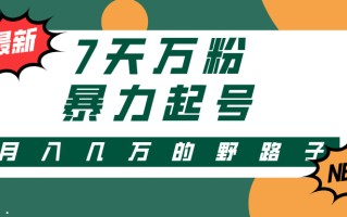 3-7天万粉，快手暴力起号，多种变现方式，新手小白秒上手，单月变现几…