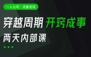 一人公司：流量变现课，一人公司的方法模型拆解， 拆解富人思维，流量思维，小老板思维等