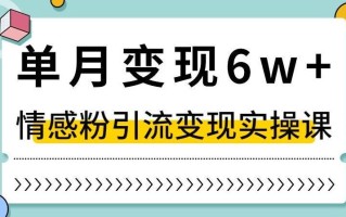 单月变现6W+，抖音情感粉引流变现实操课，小白可做，轻松上手，独家赛道【揭秘】