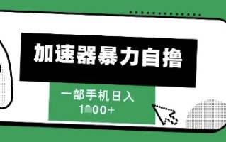 205新风口，加速器暴力自撸，单机日入1k+【揭秘】