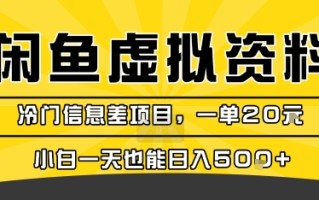 咸鱼虚拟资料变现，冷门信息差项目，一单20米，小白一天也能日入5张+