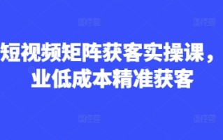 AI短视频矩阵获客实操课，企业低成本精准获客