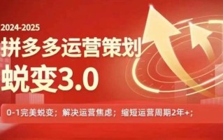 2024-2025拼多多运营策略蜕变3.0，0~1完美蜕变，解决信息焦虑