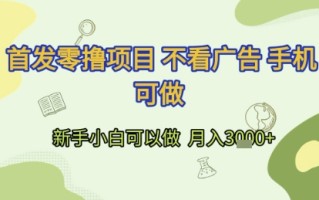 首发零撸项目 不看广告 手机可做 新手小白可以做 月入3k+【揭秘】